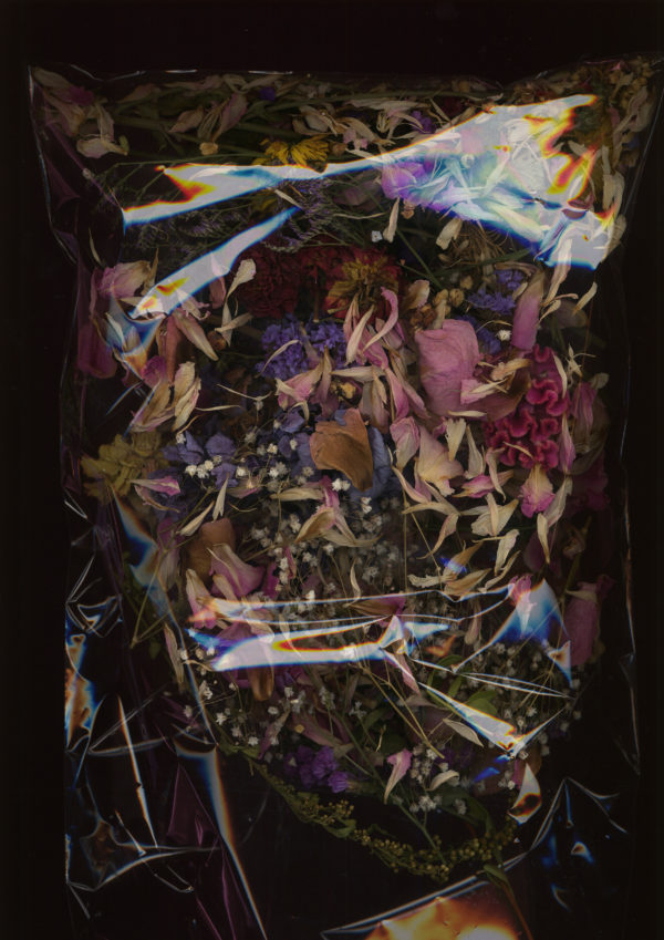 Fleurs, Camille Benarab-Lopez, impression sur dibond, 21 x 29 cm, 2023