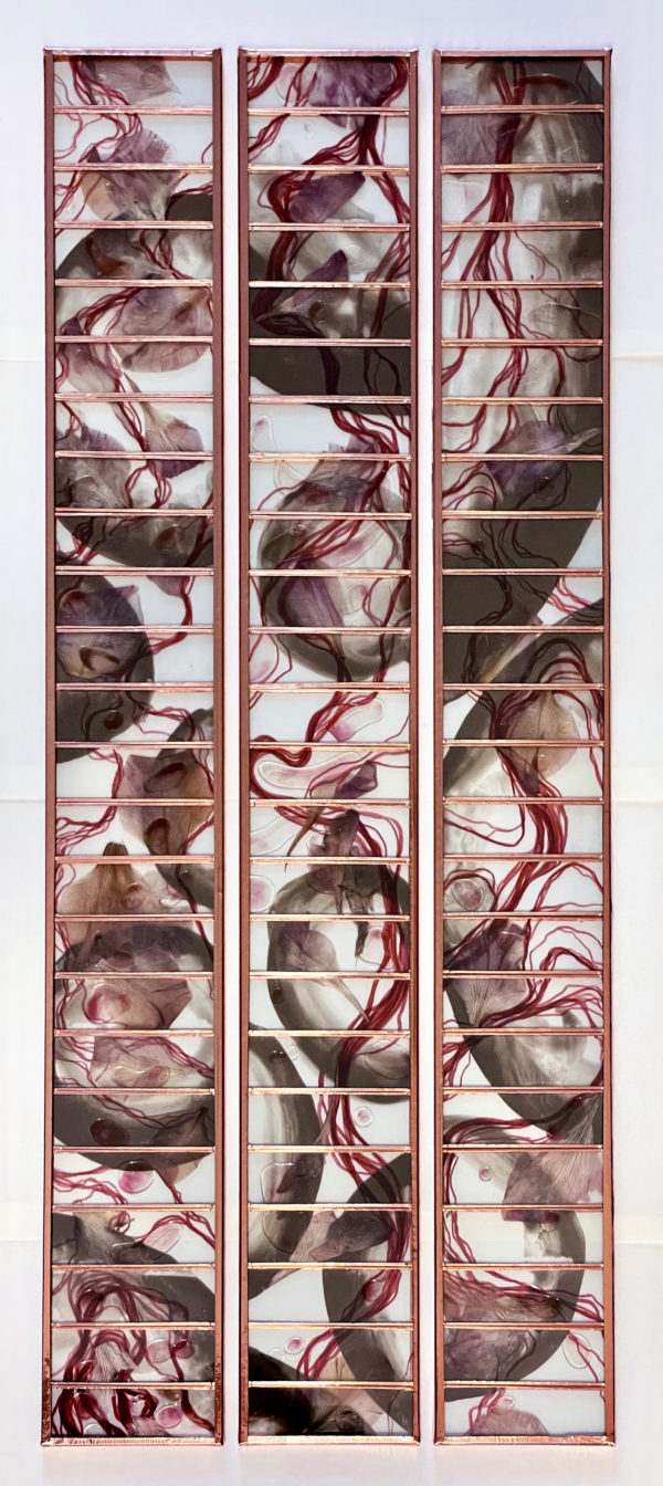 Sabrina Vitali, 3 secondes, 2024, glass, dried plants, soil, paint, copper 3 elements - 61,3 x 7,6 x 0,7 cm each