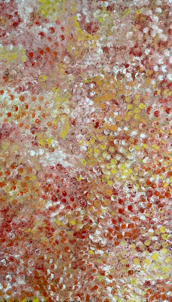 Evelyn Pultara, Atnwelarr and Kame, Acrylique sur toile, 210 x 120 cm, 2007 ©Evelyn Pultara ©Arts d’Australie • Stéphane Jacob