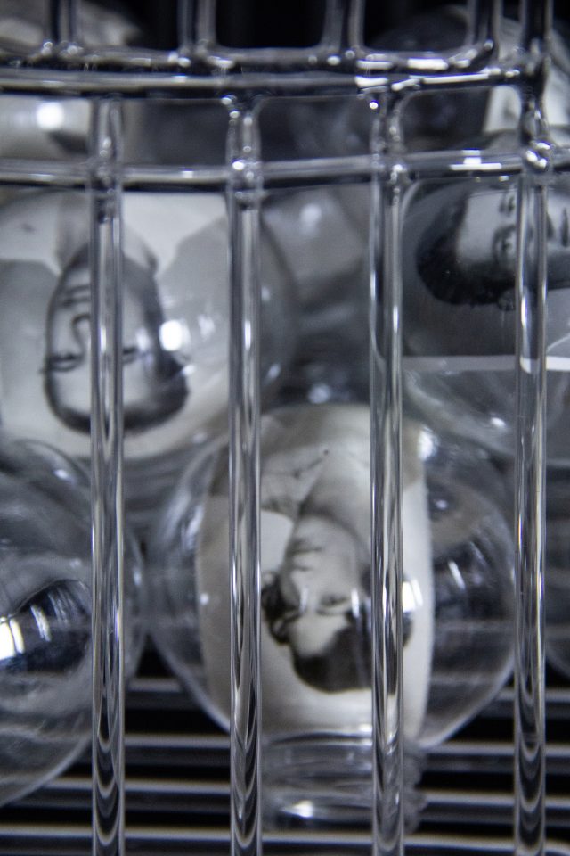 Christian Fogarolli, Gardés en cage (détail), 2025, verre borosilicate, photographies d'archives, plastique, 200 x 30 x 30 cm. Courtesy Christian Fogarolli et Galerie Alberta Pane.