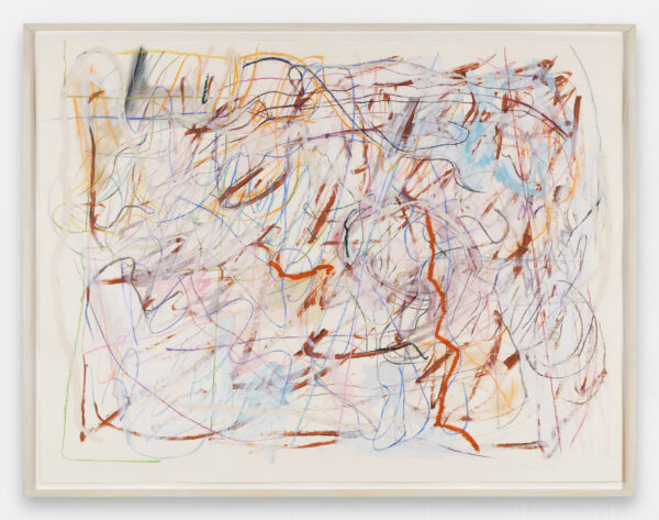 Nancy-Graves-1977-Aphel-Pastel-on-paper-97x127cm©A.Mole-Courtesy-C&B