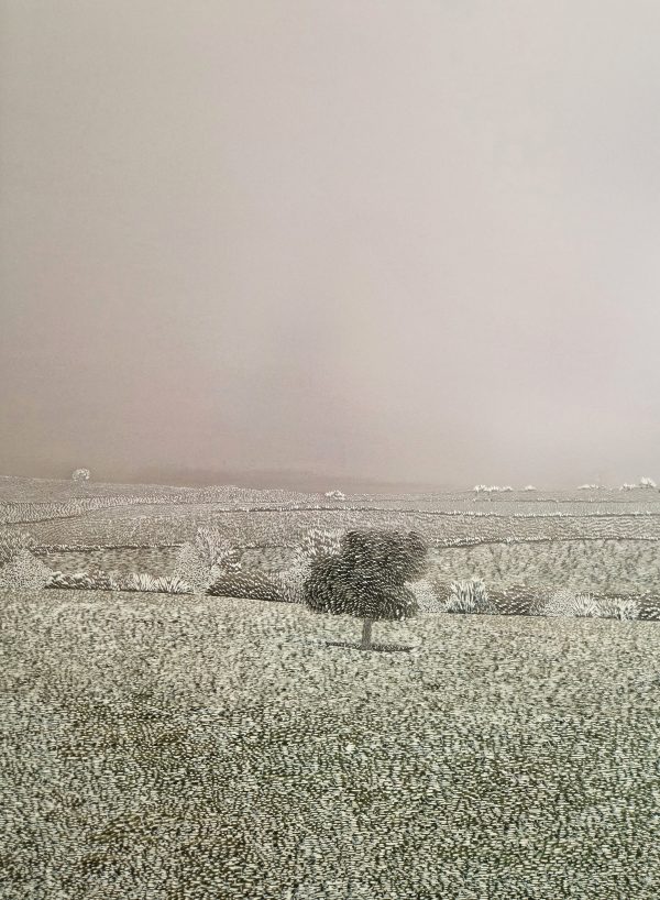 Raphaëlle Peria, Le brouillard des sentiments, grattage sur photographie, 80x60cm, 2025.