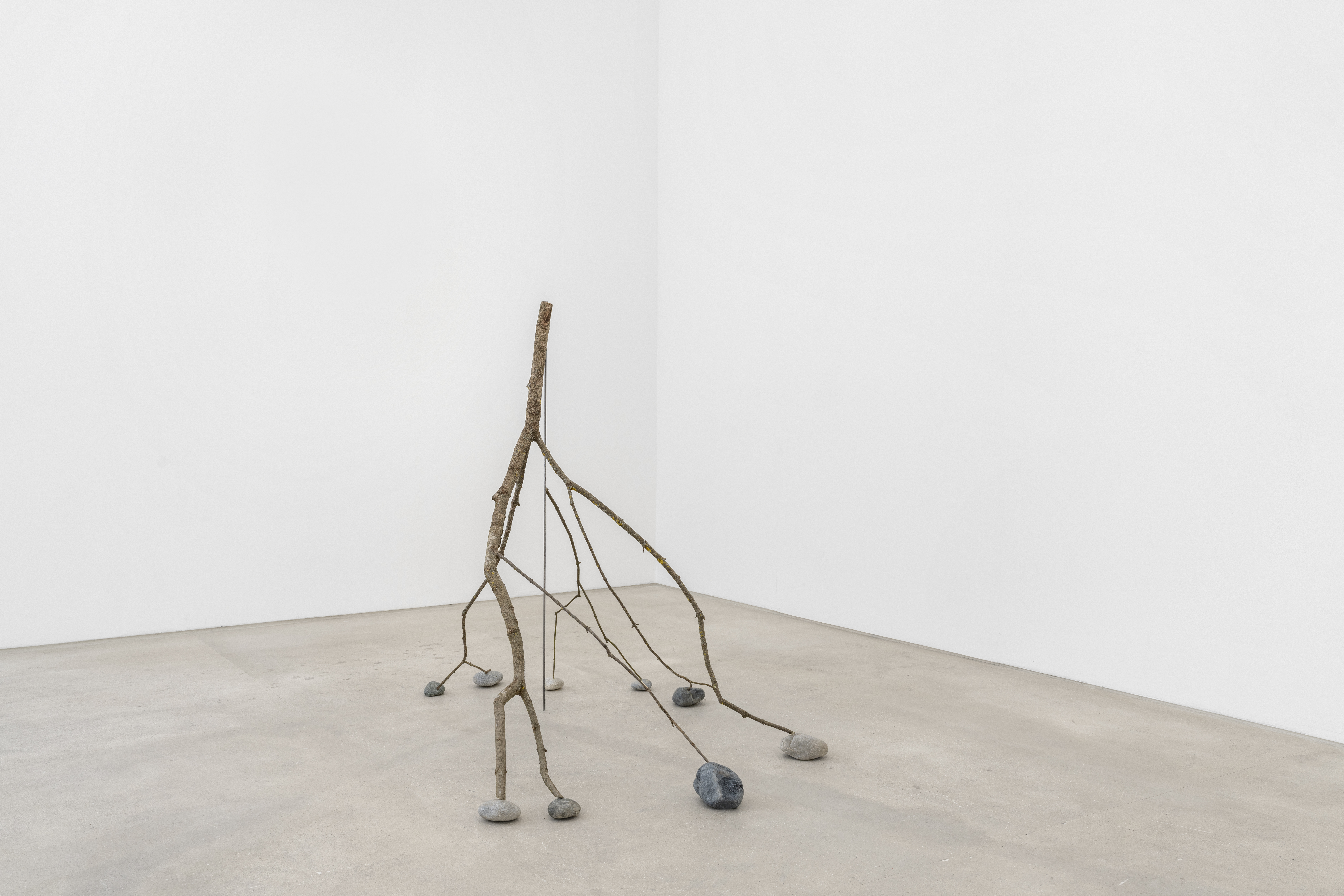 Kishio Suga, Branches of Critical Boundary, 1974/2026, branch, metal rod, stones, variable dimensions. Courtesy the artist and Mendes Wood DM.