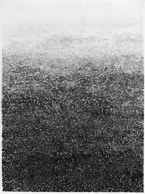 Yann Bagot - Myriades, 2023 - encre de Chine et sel marin sur papier - 76 x 56 cm. Courtesy Galerie Berthet-Aittouarès